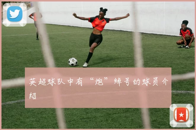 英超球队中有“炮”绰号的球员介绍