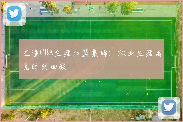 王潼CBA生涯扣篮集锦：职业生涯高光时刻回顾