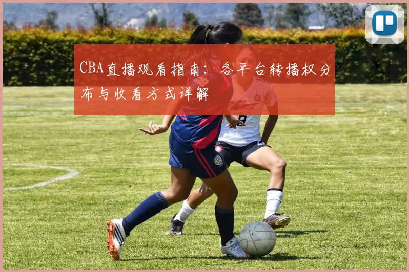 CBA直播观看指南:各平台转播权分布与收看方式详解