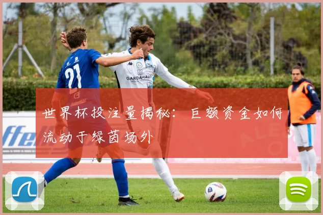 世界杯投注量揭秘:巨额资金如何流动于绿茵场外
