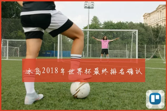 冰岛2018年世界杯最终排名确认