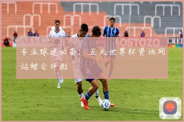 专业球迷必备：五大世界杯资讯网站综合评测