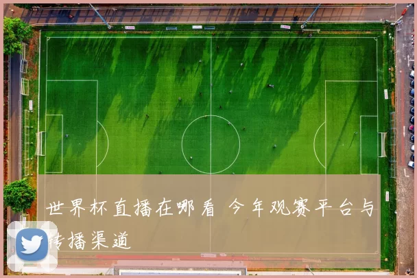 世界杯直播在哪看 今年观赛平台与转播渠道