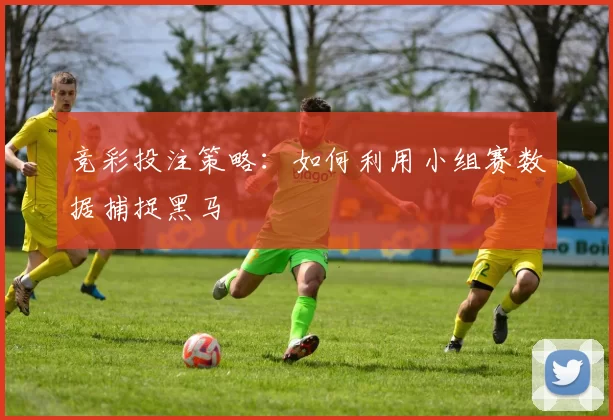 竞彩投注策略:如何利用小组赛数据捕捉黑马