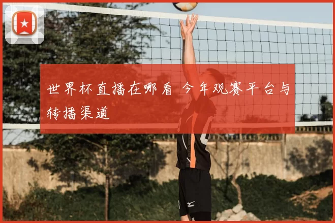 世界杯直播在哪看 今年观赛平台与转播渠道