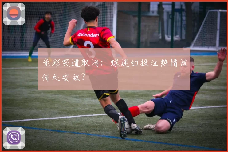 竞彩突遭取消:球迷的投注热情该何处安放?