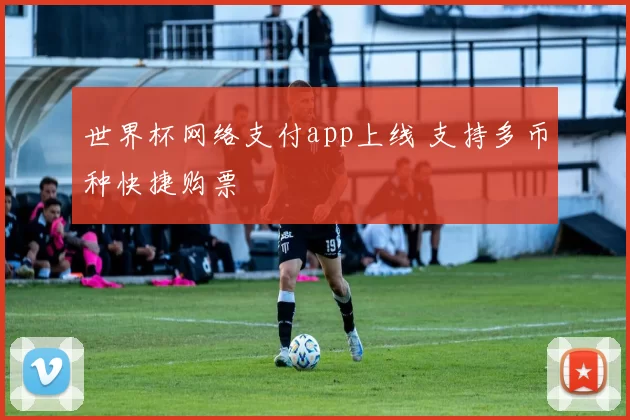 世界杯网络支付app上线 支持多币种快捷购票