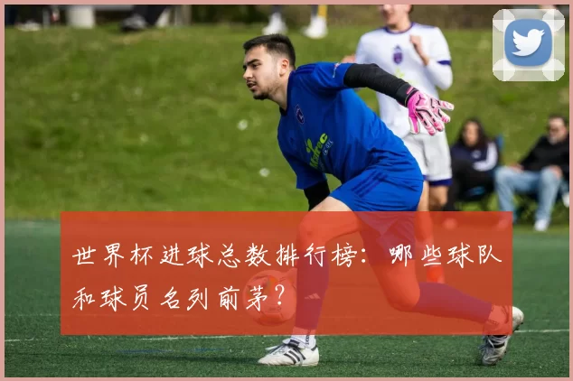世界杯进球总数排行榜：哪些球队和球员名列前茅？