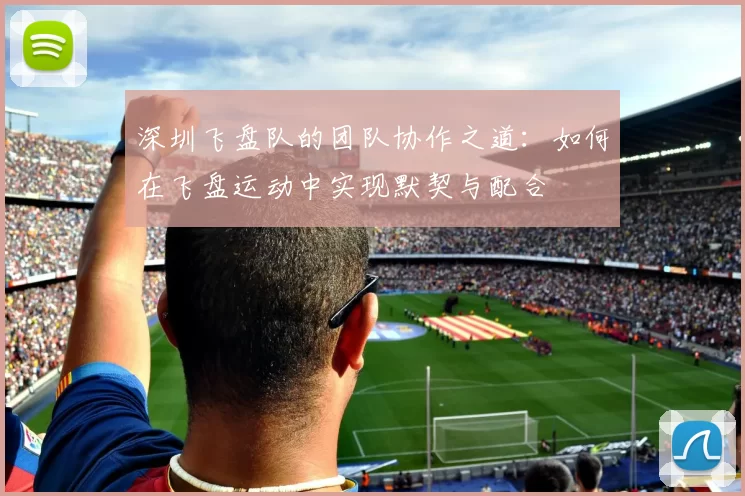 深圳飞盘队的团队协作之道:如何在飞盘运动中实现默契与配合