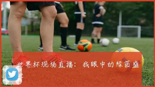 世界杯现场直播:我眼中的绿茵盛宴