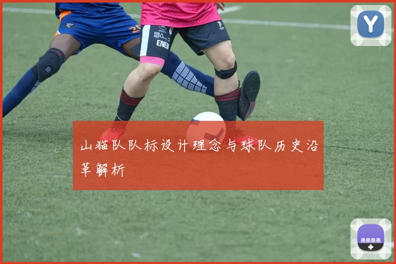 山猫队队标设计理念与球队历史沿革解析