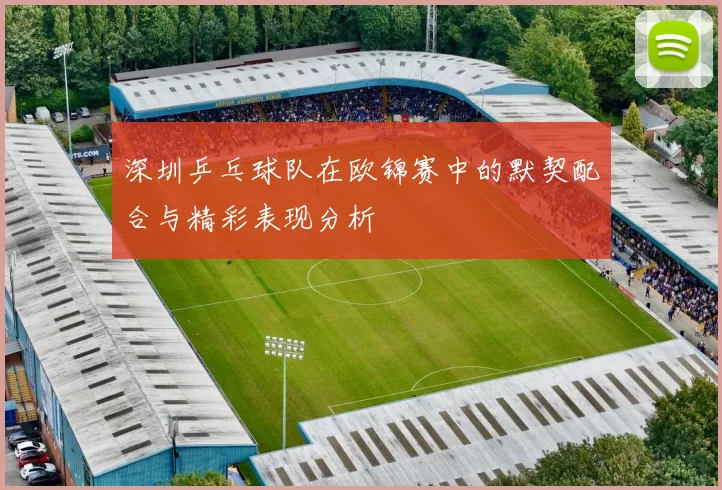 深圳乒乓球队在欧锦赛中的默契配合与精彩表现分析
