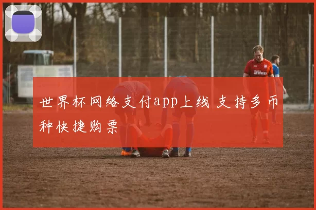 世界杯网络支付app上线 支持多币种快捷购票