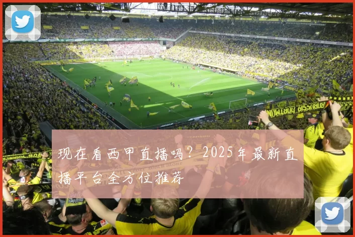 现在看西甲直播吗?2025年最新直播平台全方位推荐