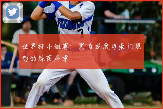 世界杯小组赛：黑马逆袭与豪门恩怨的绿茵序章