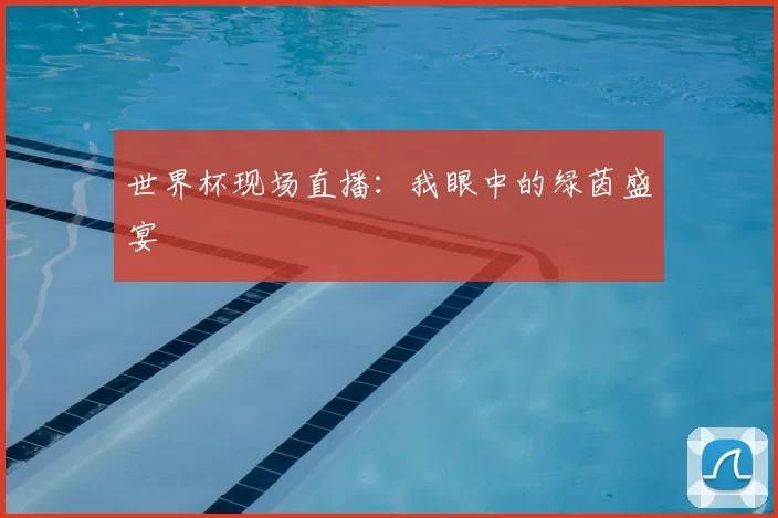 世界杯现场直播：我眼中的绿茵盛宴