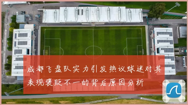 成都飞盘队实力引发热议球迷对其表现褒贬不一的背后原因分析