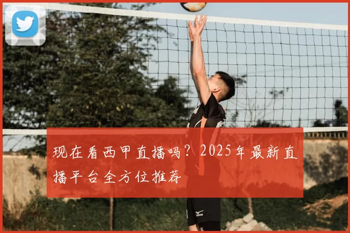 现在看西甲直播吗?2025年最新直播平台全方位推荐
