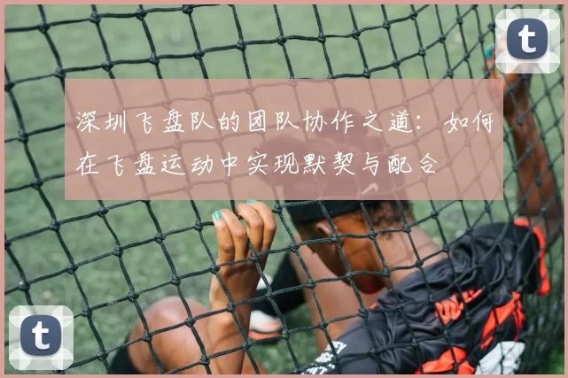 深圳飞盘队的团队协作之道:如何在飞盘运动中实现默契与配合