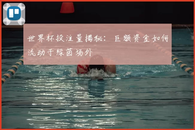 世界杯投注量揭秘：巨额资金如何流动于绿茵场外